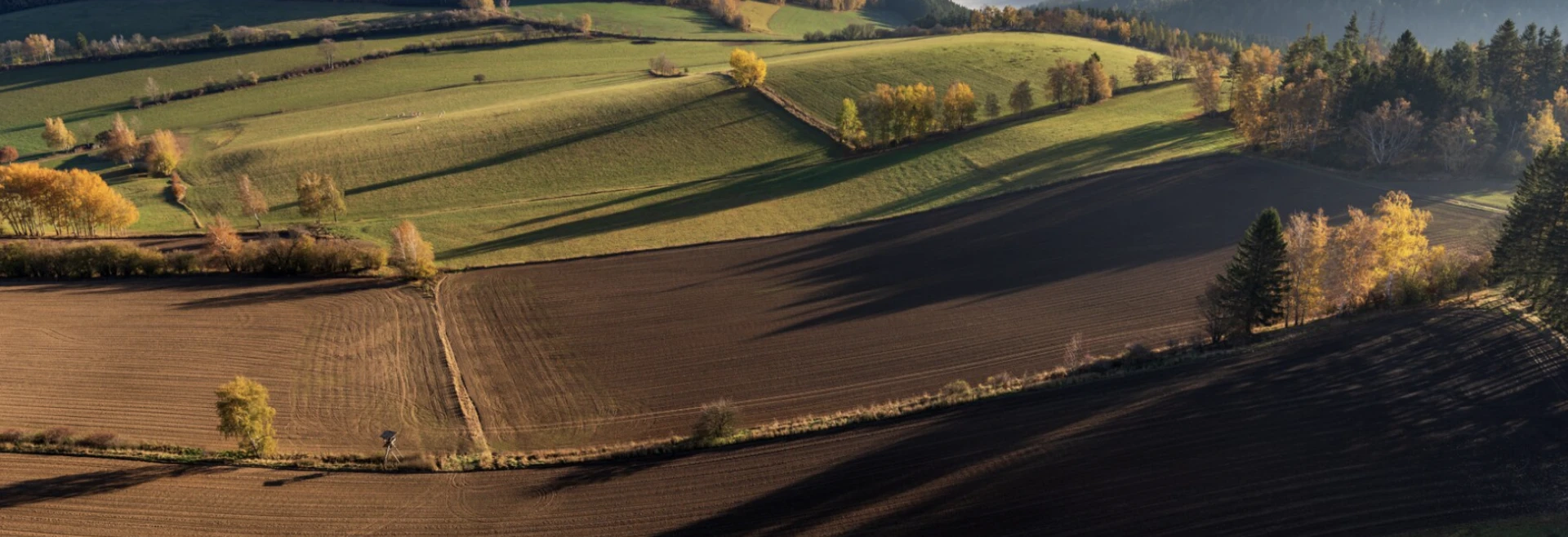Pozemky Jakubov / Letecký záber